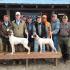 The Mississippi and Tennessee Open Shooting Dog Championships Find New Venues